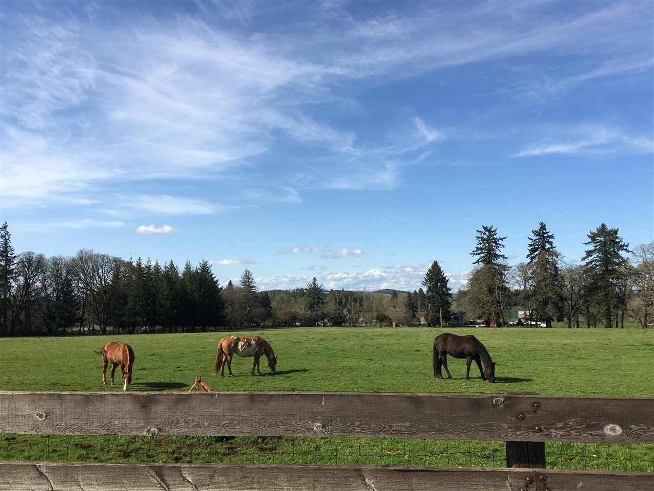 Property Photo: 6388 Cascade Hwy NE OR 97381