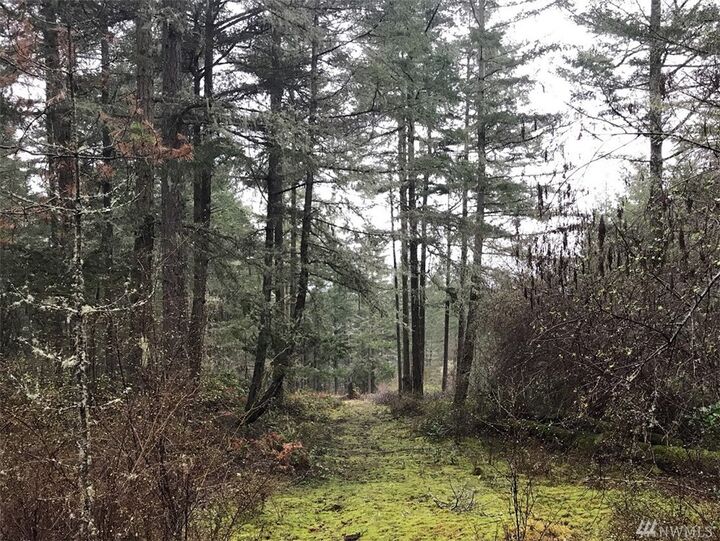 1 Thatcher Pass Road  Decatur Island WA 98221 photo