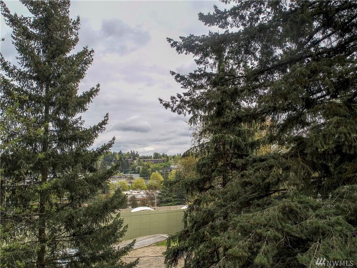 Property Photo: 105 111th Ave SE WA 98004