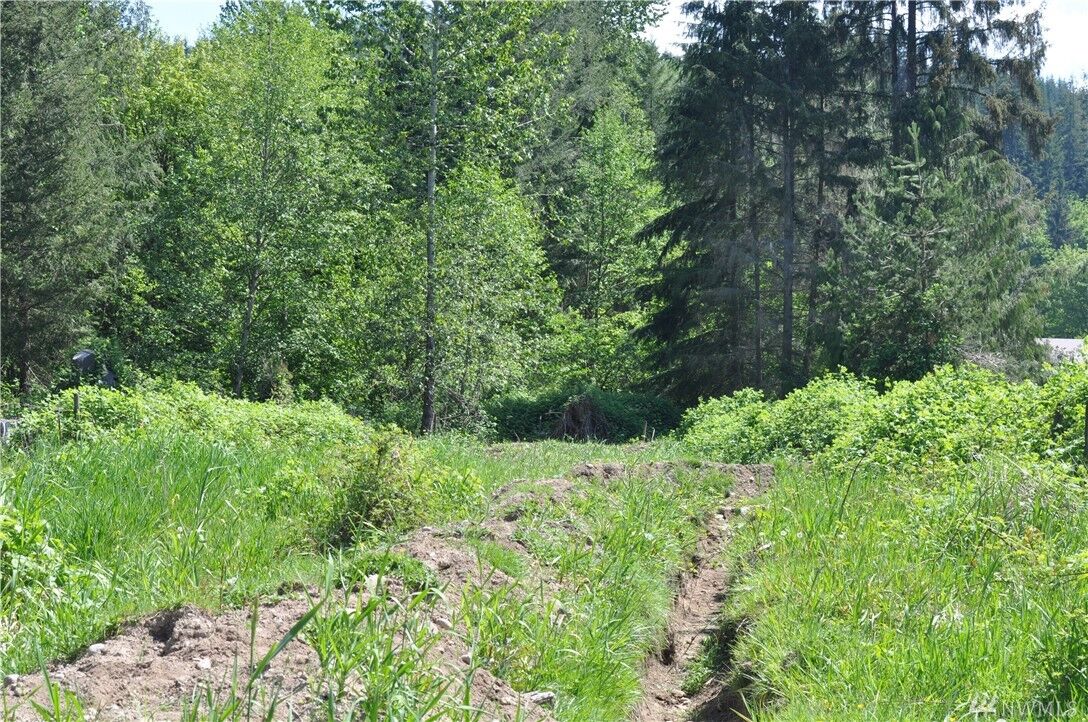 Property Photo:  19619 SR 165 E  WA 98323 