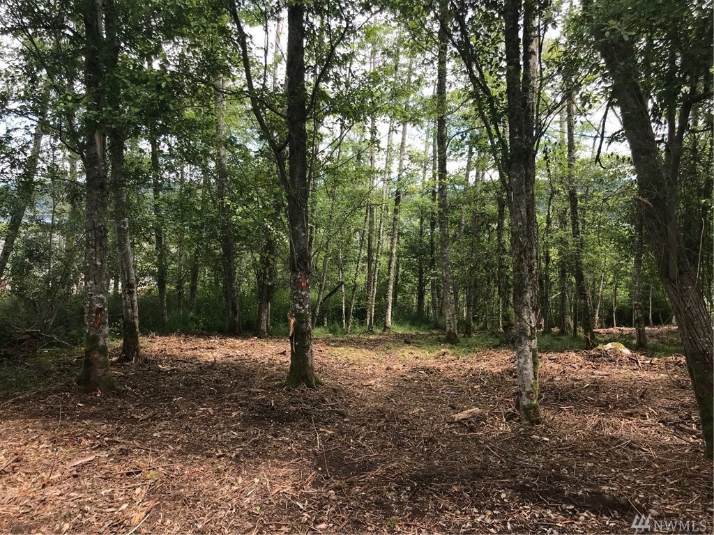 Property Photo: Lot 18 Breezefair Rd WA 98249