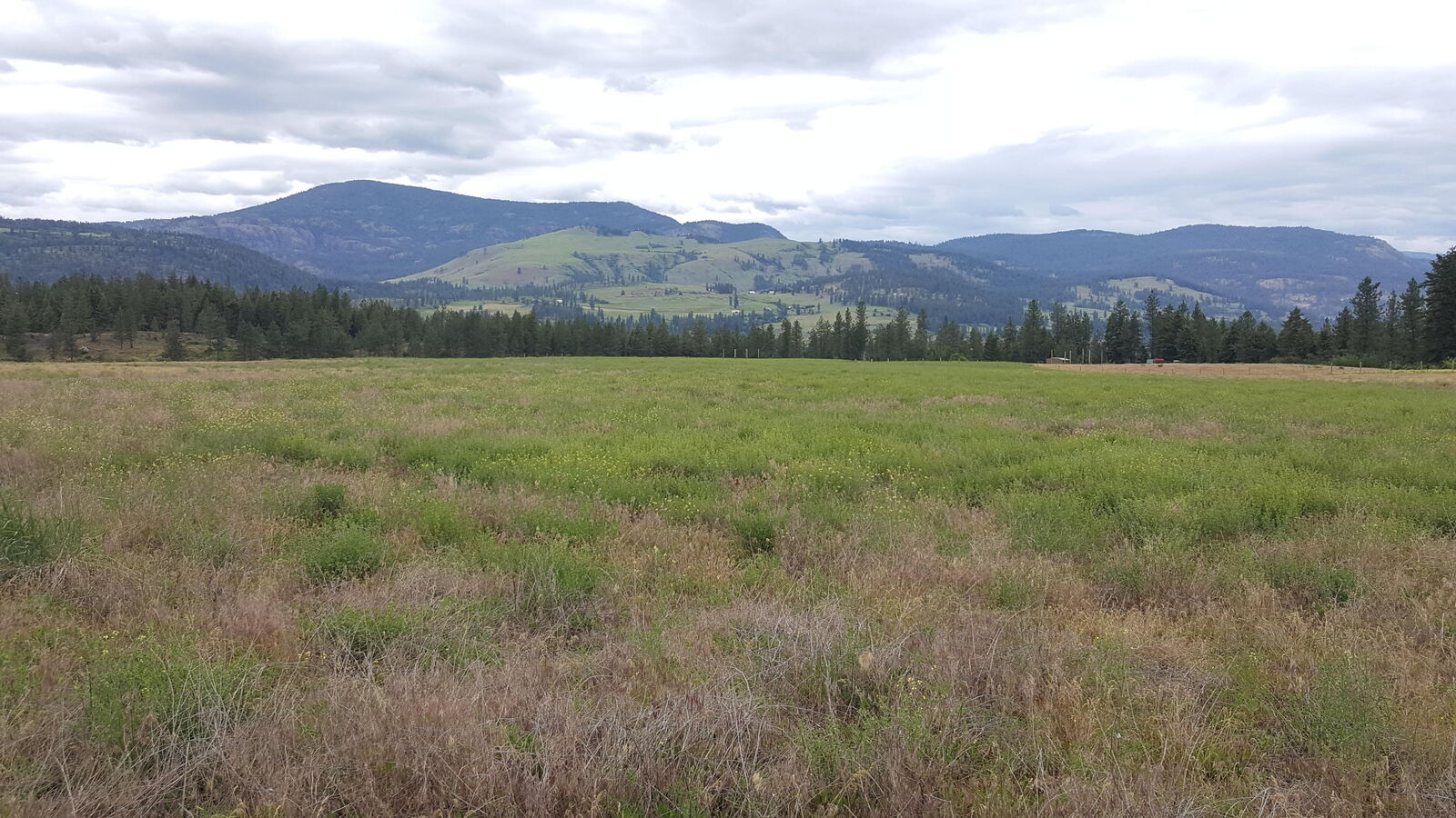 Property Photo:  21xx River Rock Rd  WA 99167 