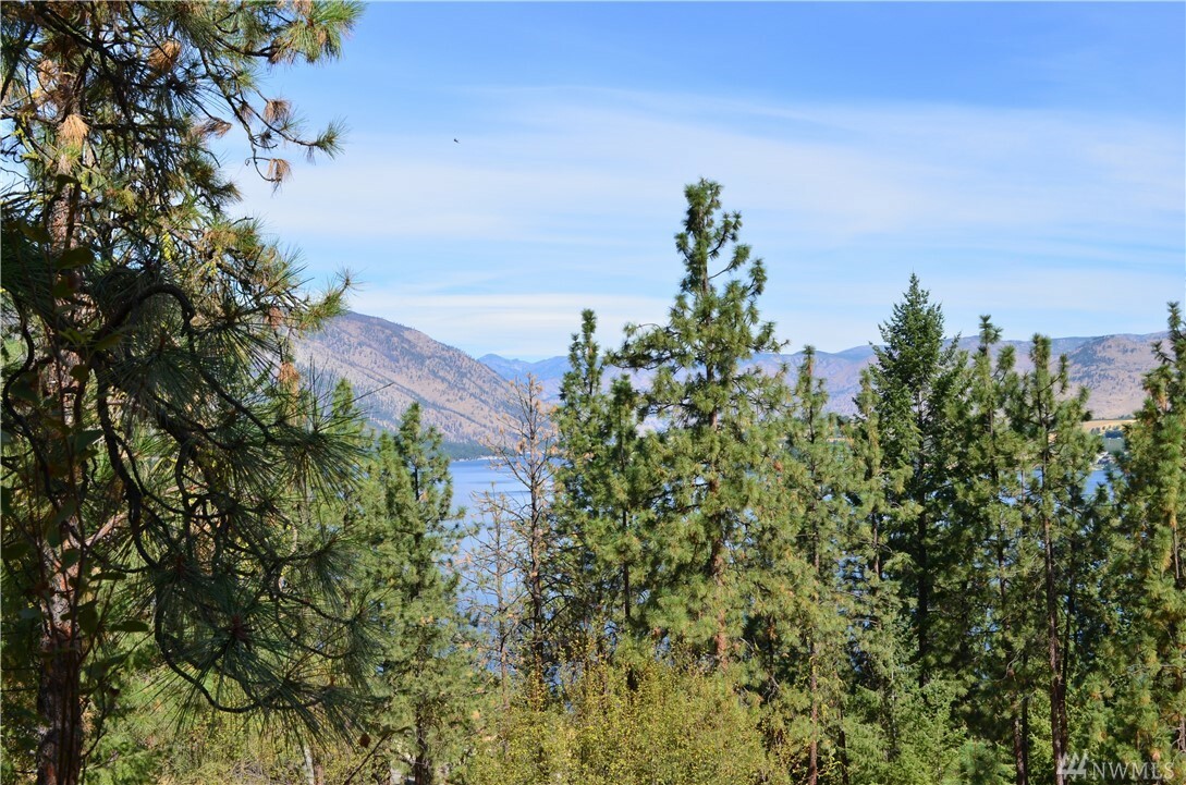 Property Photo:  0 Lots 22 & 23 Ridgeview Dr  WA 98816 