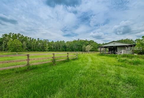Property Photo: 11802 Blue Tick Drive FL 33556