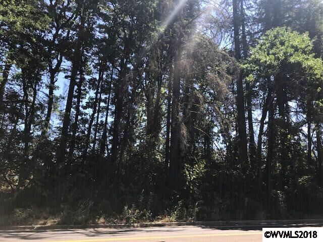 Property Photo: 7035 Sunnyside (Across From) Rd SE OR 97306