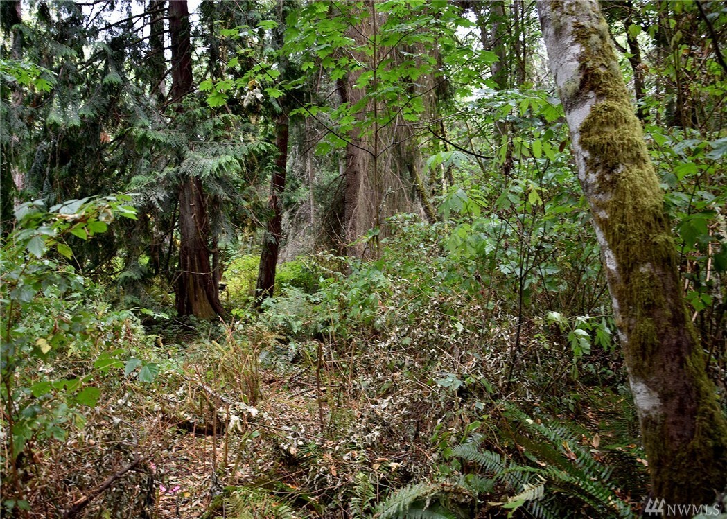 Property Photo: 0 Seatter Rd NE WA 98346