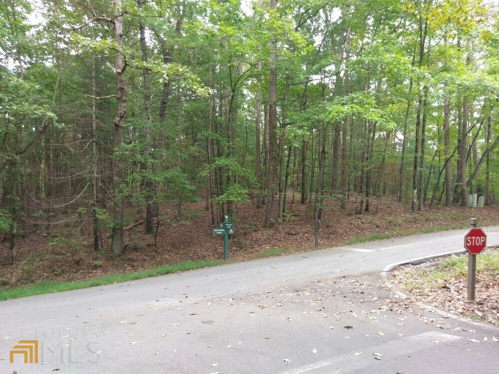 Property Photo:  9002 Trotters Lane  GA 30143 