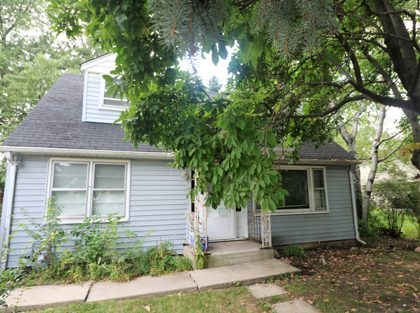 Property Photo:  959 North Loomis Street  IL 60563 