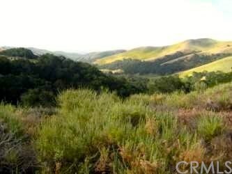 Property Photo:  11485 Suey Creek Road  CA 93454 