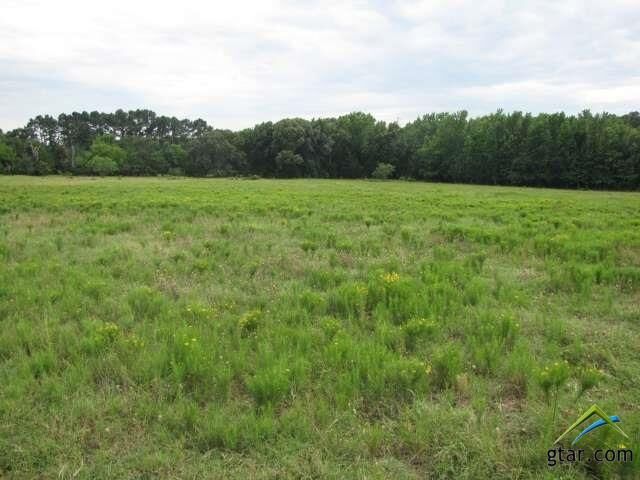 Property Photo:  12978 Cr 468  TX 75704 