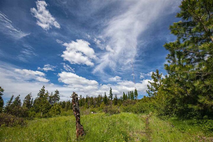 00 E Jamieson Rd  Spokane WA 99223 photo