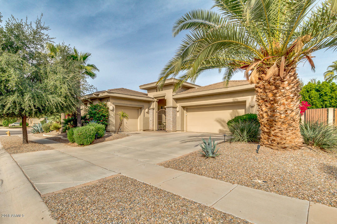 Property Photo:  4686 E Ruffian Road  AZ 85297 