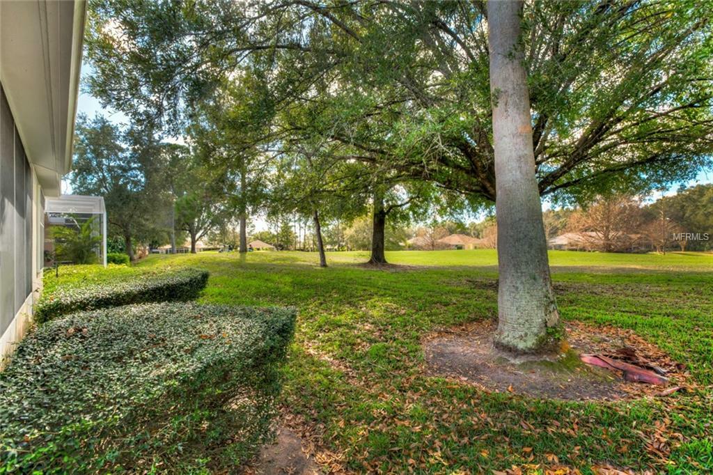 Property Photo:  8003 Arcadian Court  FL 32757 