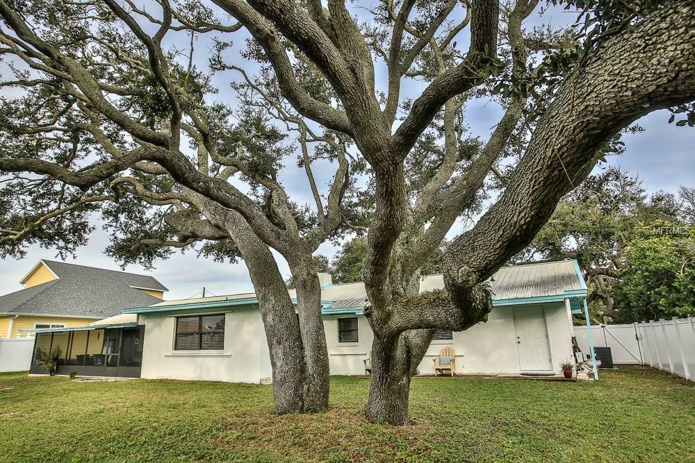 Property Photo:  821 E 14th Avenue  FL 32169 