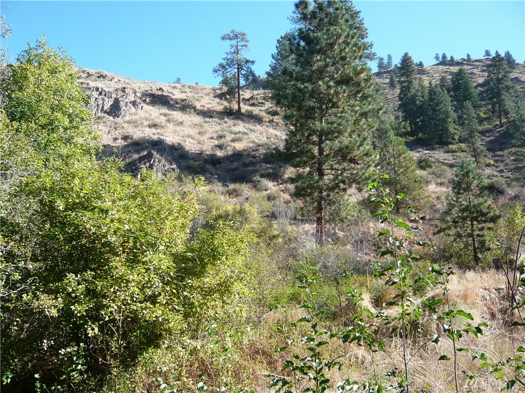 Property Photo:  593 E Chewuch Rd  WA 98862 