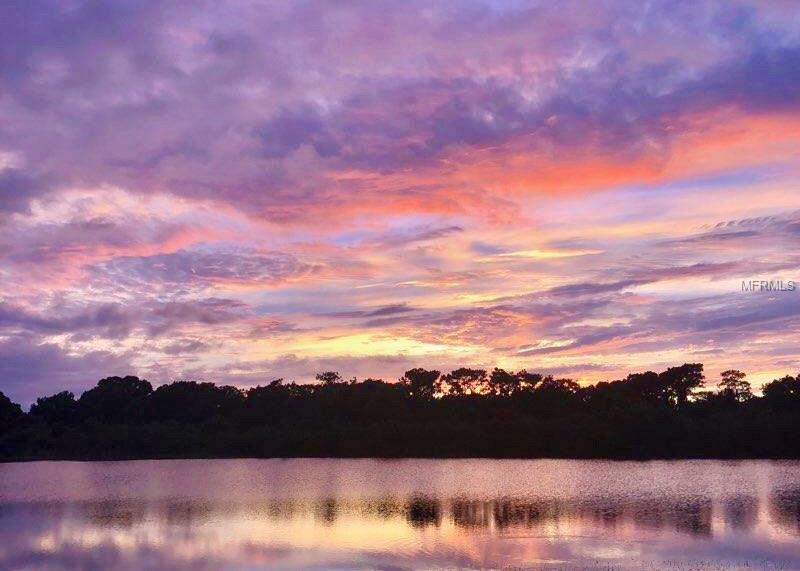 Property Photo: 6539 Trent Creek Drive FL 33573