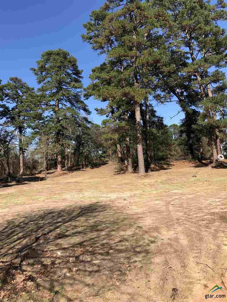 Property Photo:  18954 Fm 1804  TX 75771 