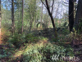 Property Photo:  5415 W Old Stump Dr NW  WA 98332 