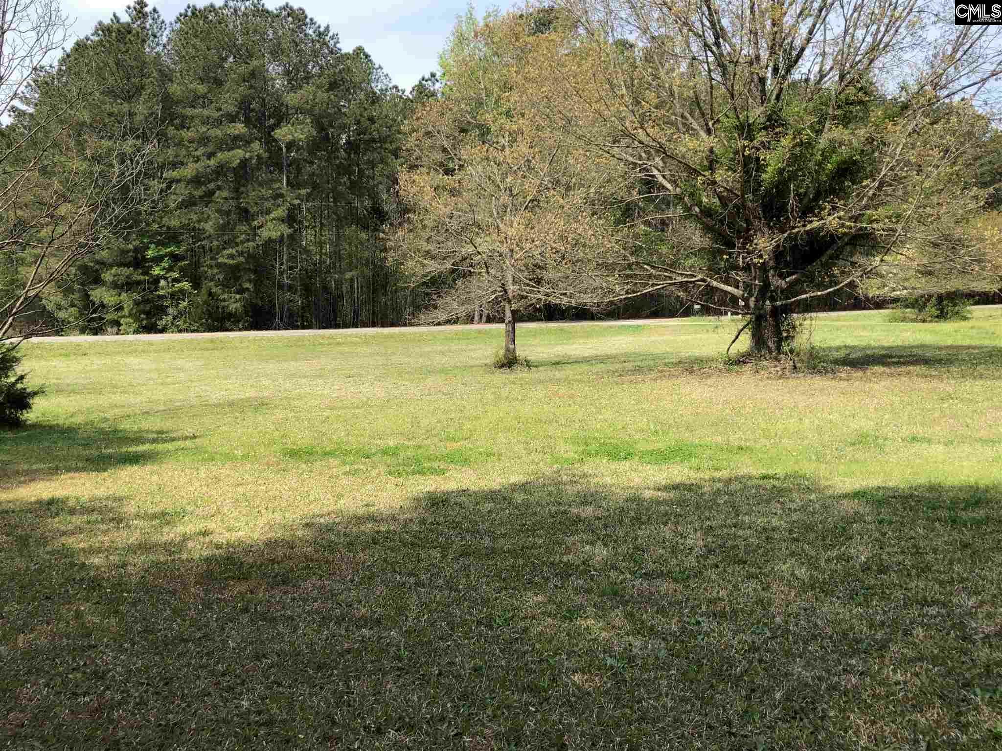 340 Old Shealy  Chapin SC 29036 photo