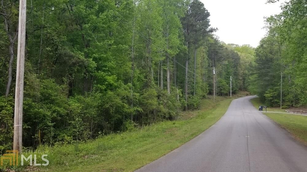 Property Photo: 0 Hale Mountain Court GA 30141