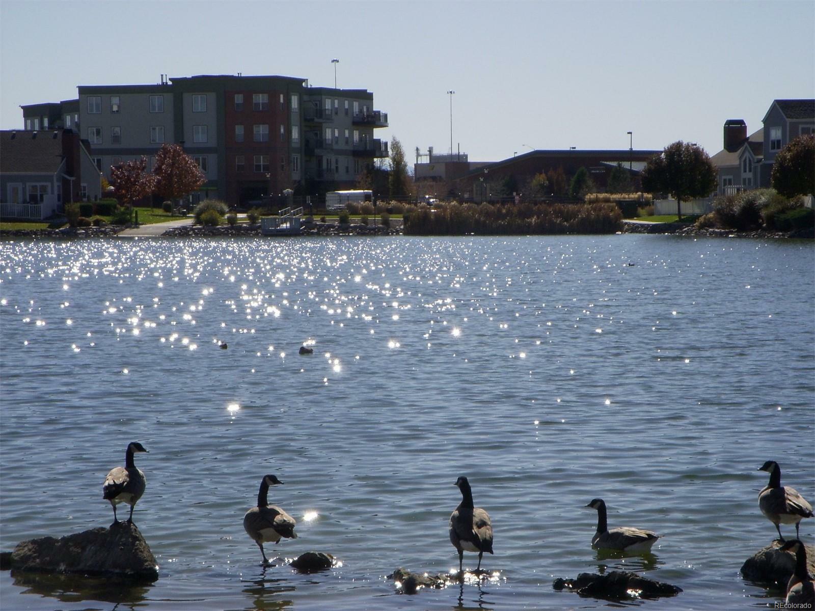 Property Photo: 15475 Andrews Drive 204 CO 80239