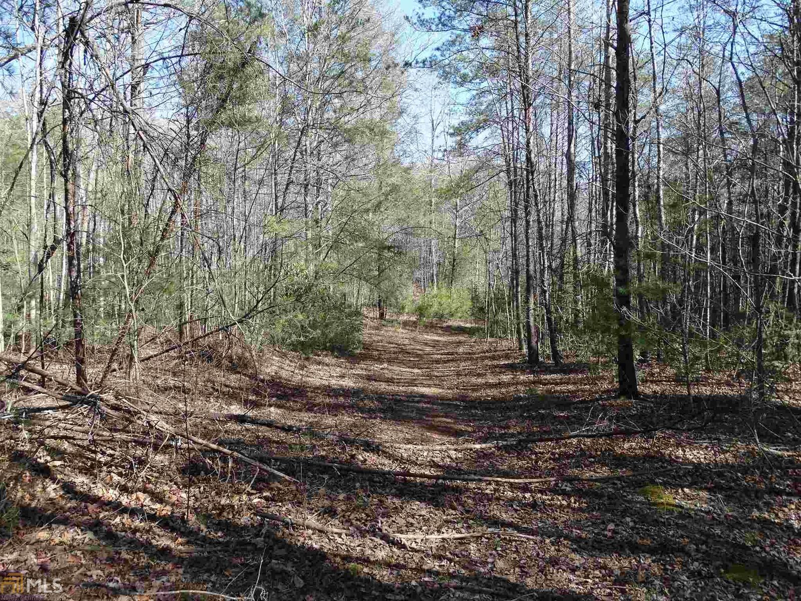 Property Photo:  0 Three Hills Drive  GA 30528 