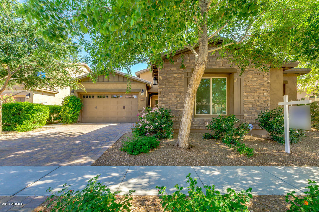 Property Photo:  3119 E Maplewood Court  AZ 85297 