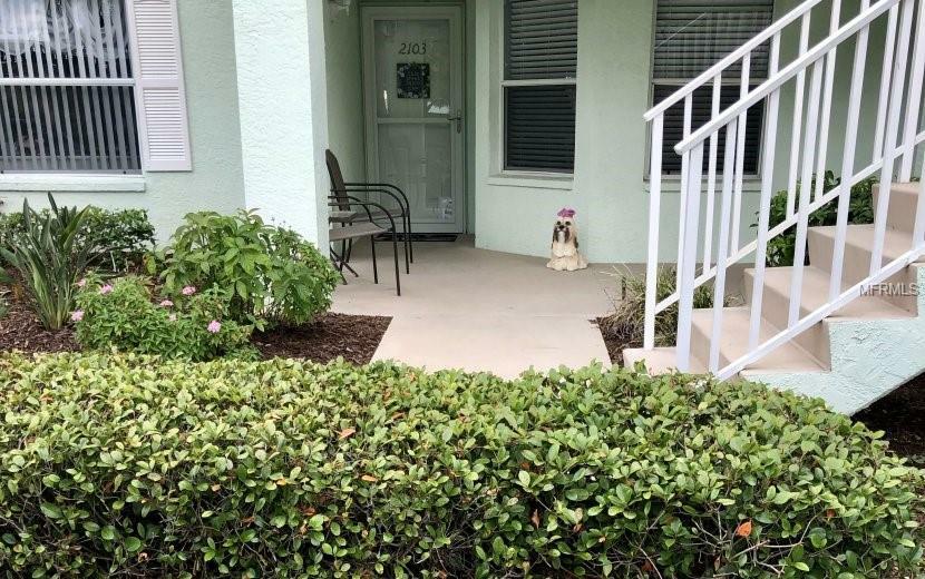 Property Photo:  5725 Greenwood Avenue 2103  FL 34287 