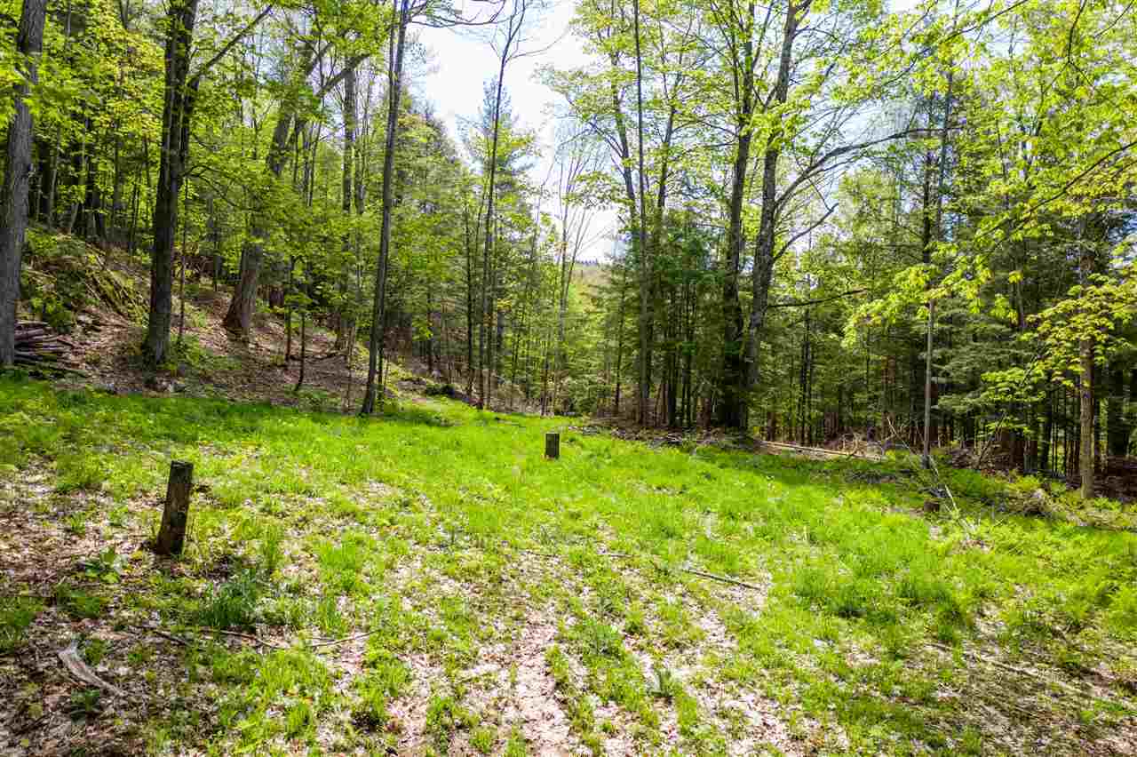 Property Photo:  199 Old Gould Farm Road 4  VT 05657 