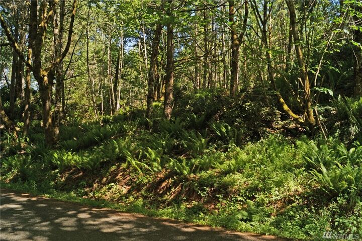 Property Photo: 0 E Ballow Rd WA 98584