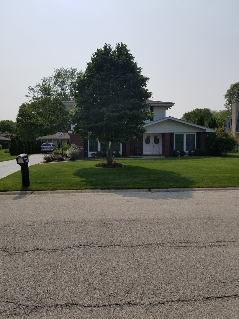 Property Photo:  12230 South Flambeau Drive  IL 60463 