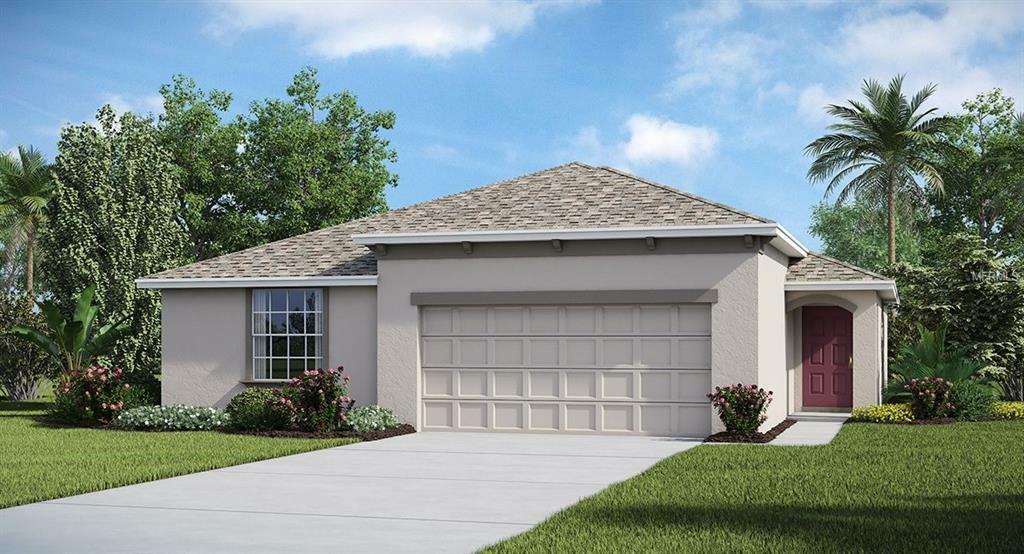 Property Photo:  17134 Sunshine Mimosa Street  FL 33598 