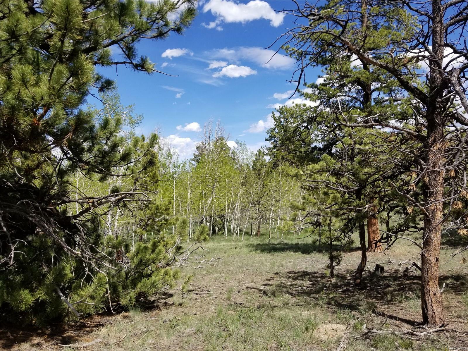 Property Photo:  1970 Bellows Road  CO 80449 