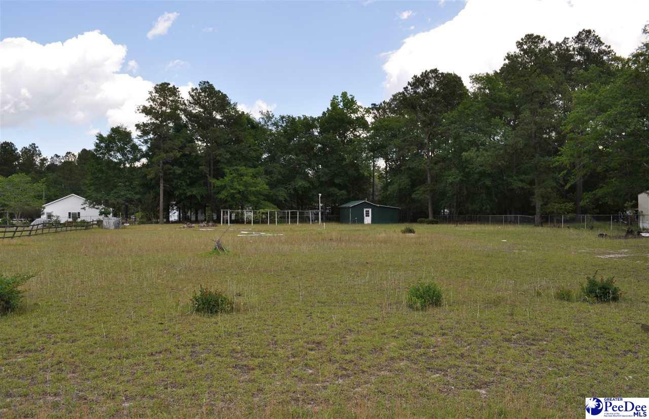 Property Photo:  406 S River Pines Drive  SC 29574 