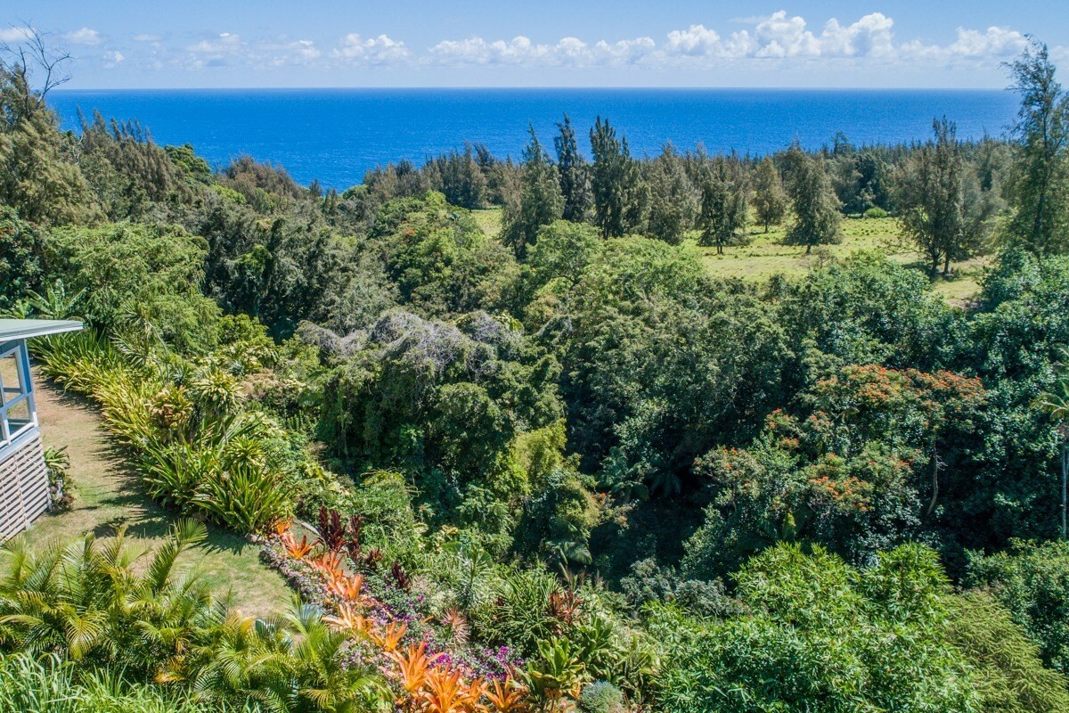 Property Photo:  Hoomau St  HI 96727 