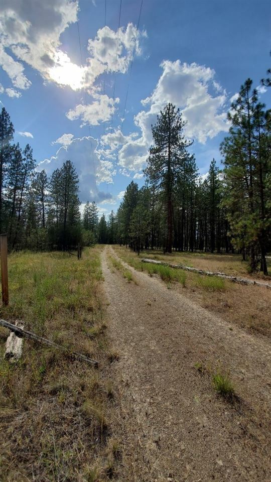 Property Photo:  Nhn Near Corkscrew Canyon Rd  WA 99034 