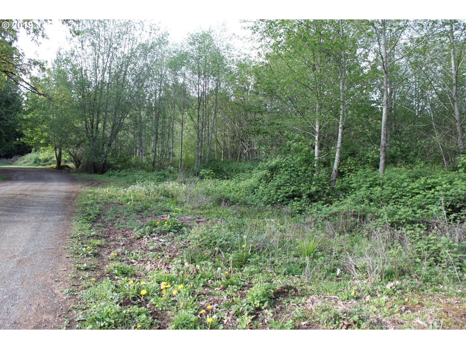 Property Photo: 000 Ravena Ln WA 98626