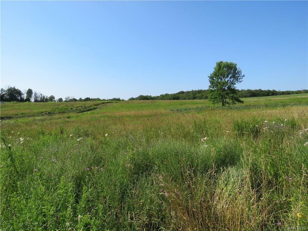 Property Photo:  1050 Schopper Road  NY 14052 