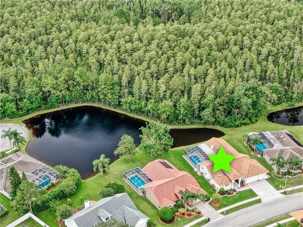 Property Photo:  1430 Davenport Drive  FL 34655 