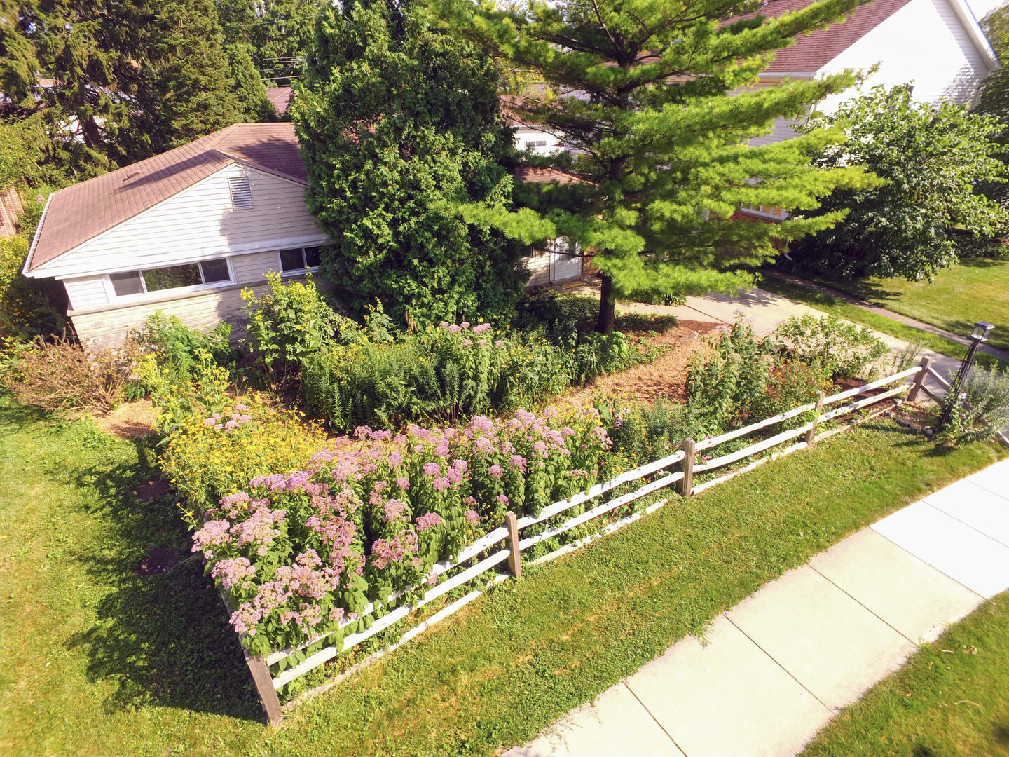 Property Photo:  1123 East Grant Drive  IL 60016