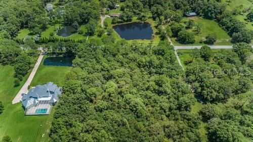 Property Photo:  0 Appaloosa Road  FL 34688 