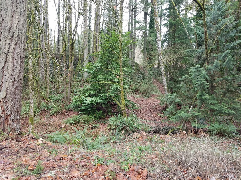 Property Photo:  11913 State Route 302 NW  WA 98329 