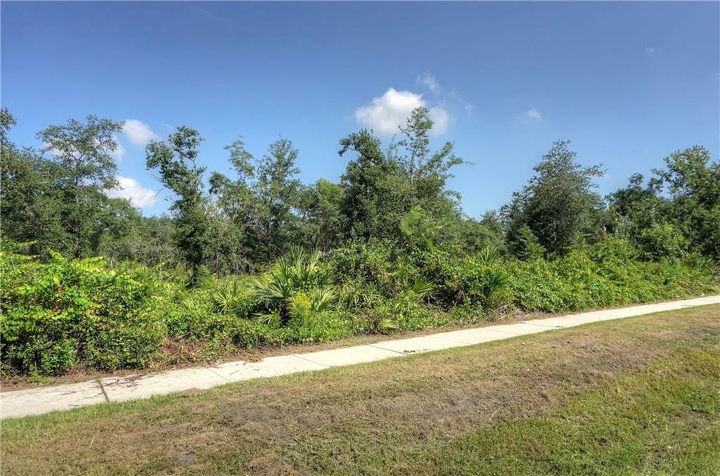 Property Photo:  Blackrock Road  FL 32034 