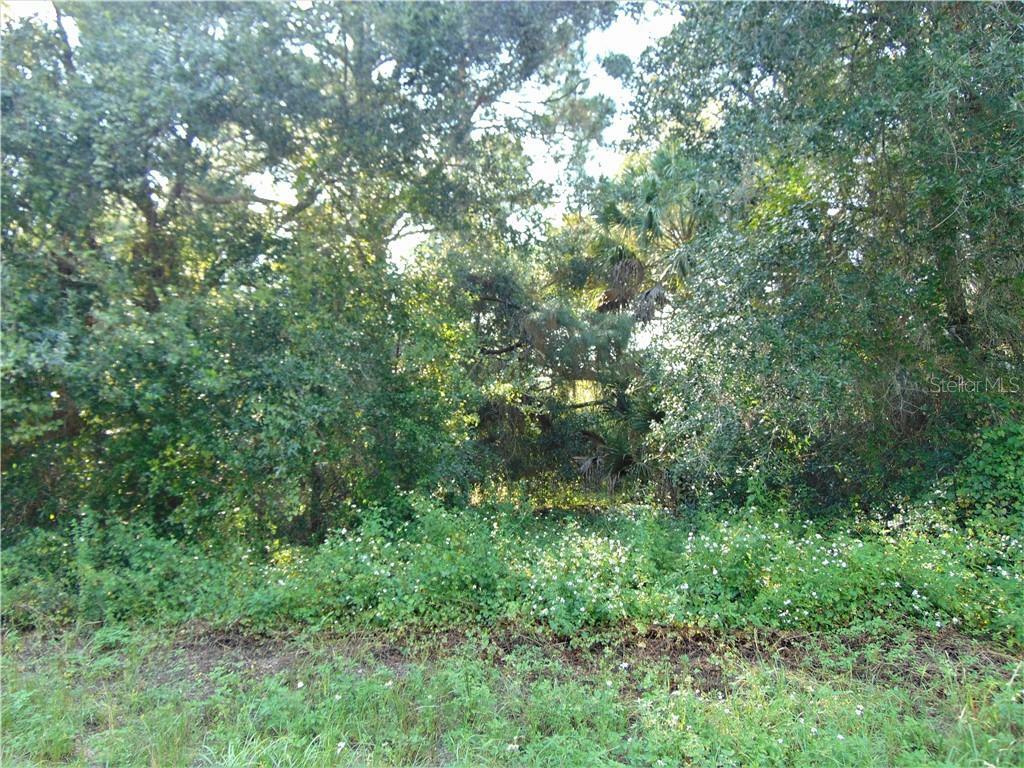 Property Photo:  179 Adalia Terrace  FL 33954 