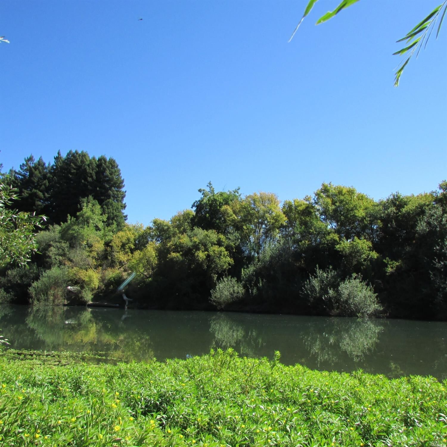 Property Photo:  14795 River Road  CA 95446 