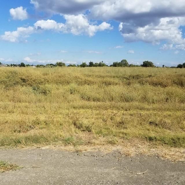 Property Photo: 3575 Otis Avenue CA 95691