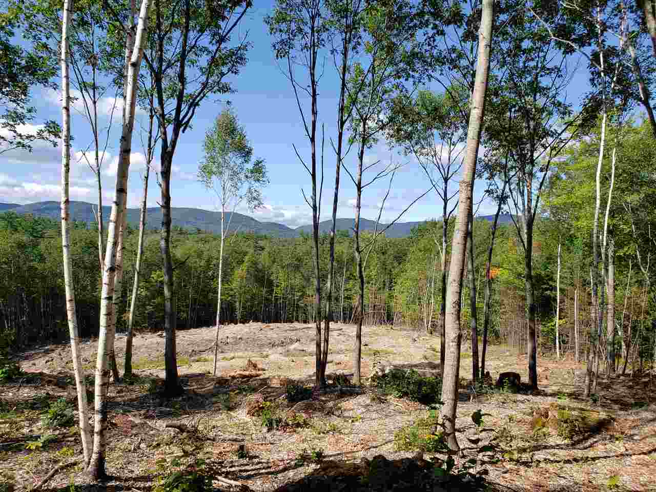 Property Photo: R20 15 H Squam Lake Road NH 03227