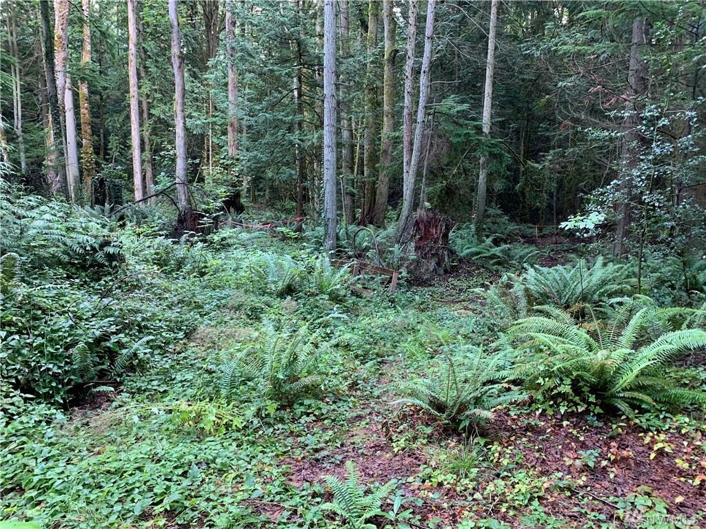 Property Photo:  20700 Fern St NE  WA 98342 