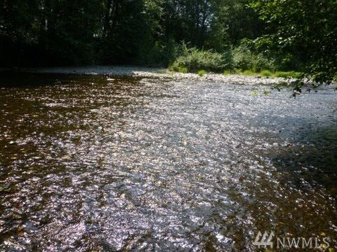 Property Photo:  Xxx Cougar Smith Rd  WA 98563 