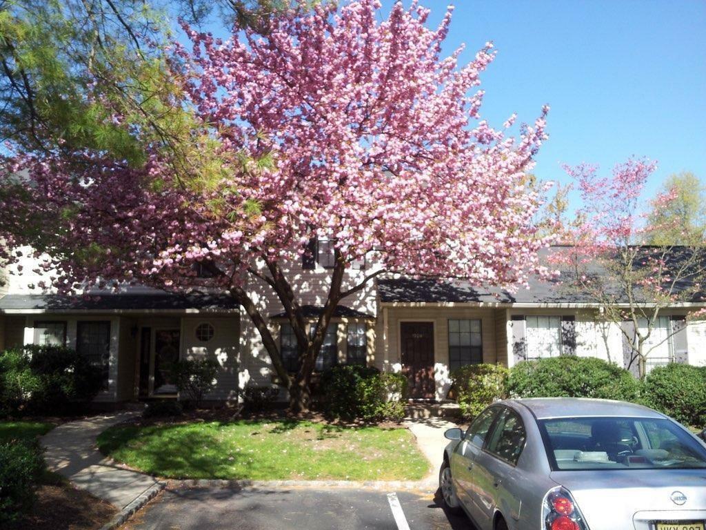 Property Photo: 1904 Timber Oaks Road NJ 08820